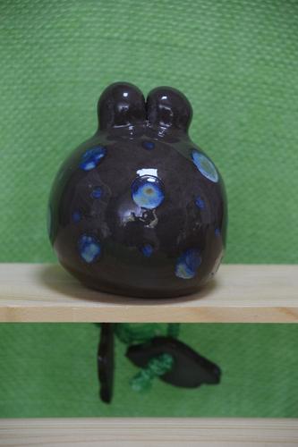 Kantenhocker Frosch – zweite Ansicht
