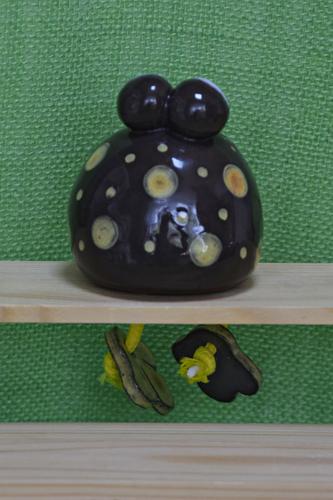 Kantenhocker Frosch – zweite Ansicht