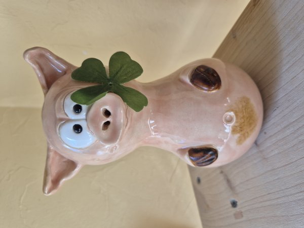 Glücksschweinchen