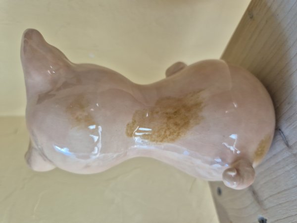 Glücksschweinchen – zweite Ansicht