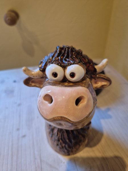 Highland-Cow, Zaunhocker
