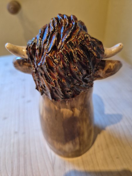 Highland-Cow, Zaunhocker – zweite Ansicht
