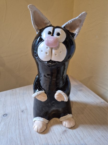 Katze, Zaunhocker