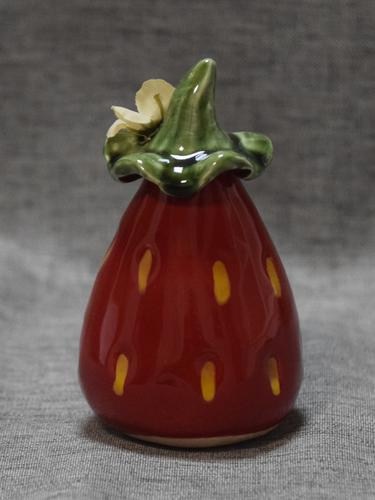 Erdbeerwichtel orange Blüte – zweite Ansicht